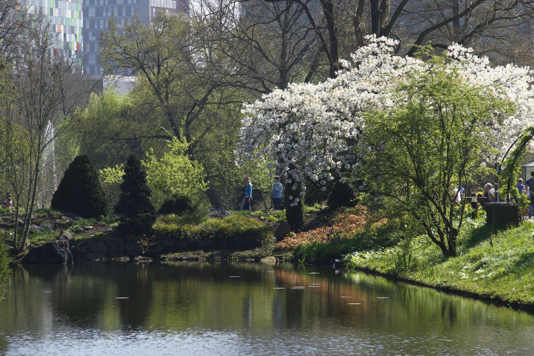 Gardens view